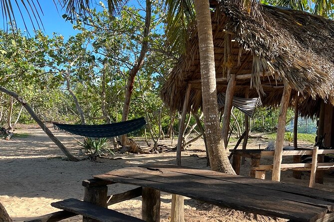 Horseback Riding - Experience Between Virgin Beach and Lagoon - Photographic Opportunities
