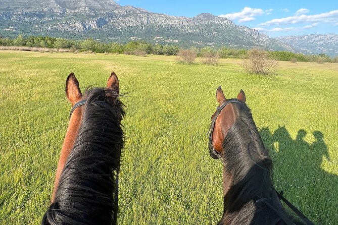 Horseback Riding Experience With Transport From Dubrovnik - What to Expect on the Ride