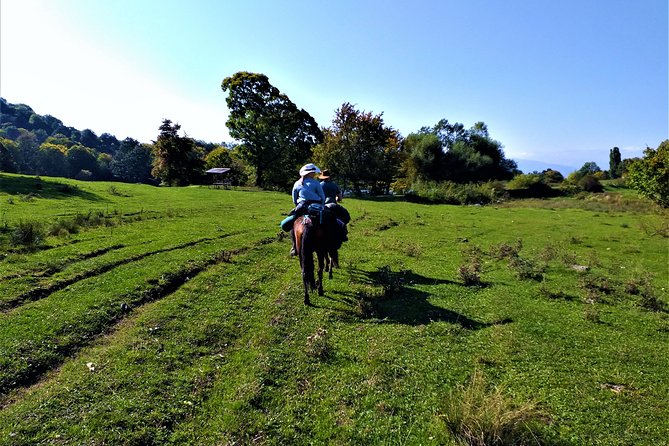 Horseback Riding in Armenia - Health and Accessibility Considerations