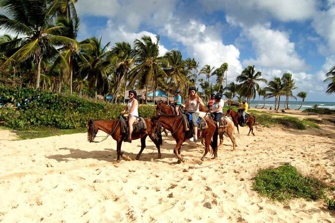 Horseback Riding in Punta Cana - Enjoying the Guided Tour Experience