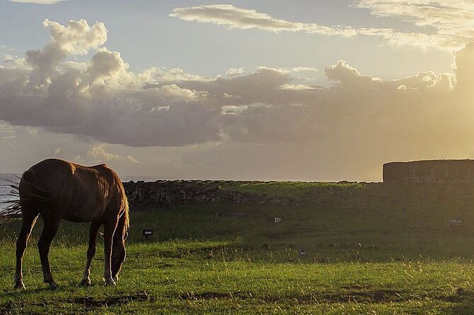 Horseback Riding on Easter Island - Pickup and Drop-off Arrangements