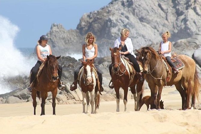 Horseback Riding on The Beach and Through The Desert! - Customer Feedback and Recommendations