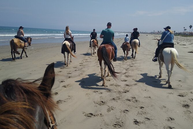 Horseback Riding on the Beach From Ensenada - Safety and Accessibility