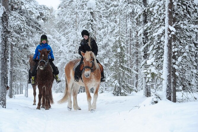 Horseback Riding Tour in Levi - Pickup and Meeting Information