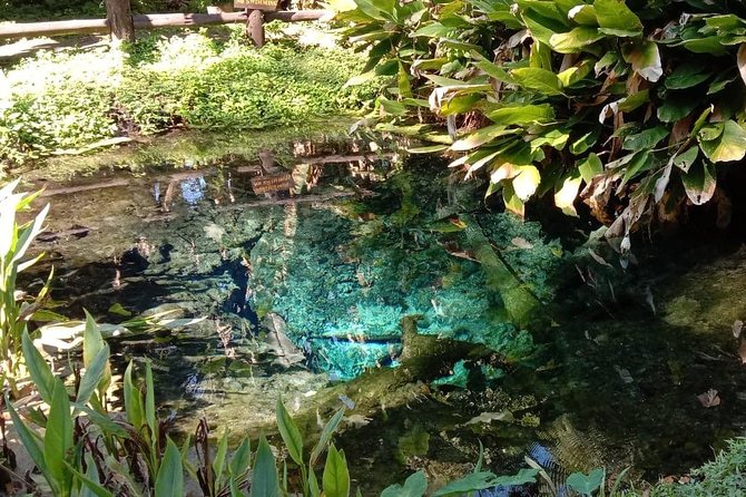 Hot! Doisuthep Temple+Wat Palad+Sticky Waterfall - Discovering Wat Palad