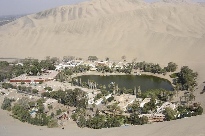 Huacachina Sand Buggy and Sand Boarding Experience - Customer Reviews and Feedback
