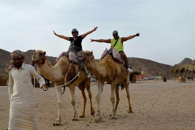 Hurghada Desert Safari on Quad Bikes With Camel for 3 Hours - Participation Guidelines and Group Size