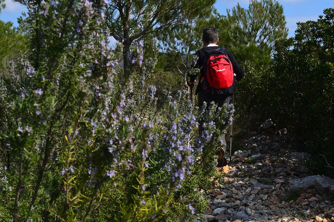 Hvar Lavender Tour - Customer Support
