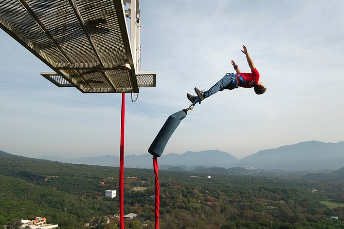 IBO Bungee in Horse Tail - Health and Safety Requirements
