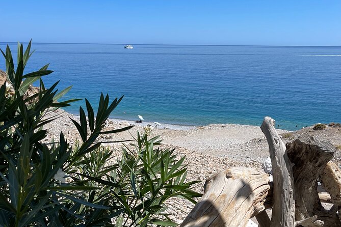 Imbros Gorge - War Museum Askifou - Iligas Beach Private Tour - Tour Participation Details