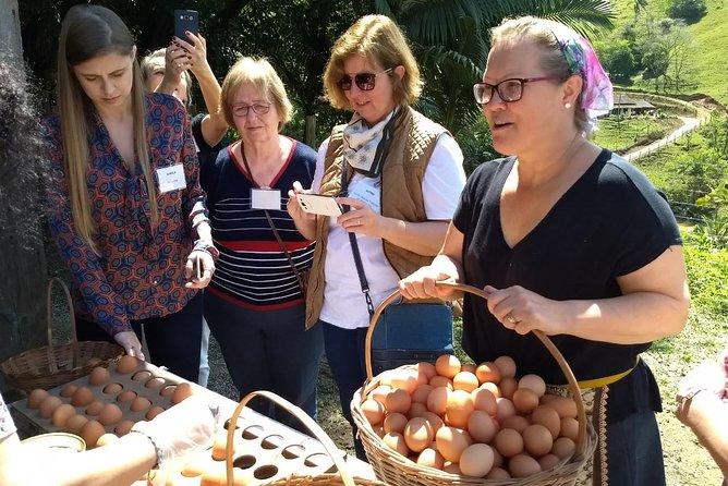 Immigrant Route - Colonial Flavors - Taking in Pomerodes Vibrant Culture