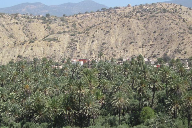 Imouzzer High Atlas Mountains Tour From Agadir - Participant Requirements