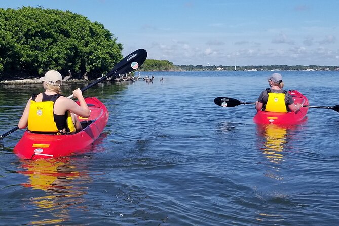 Indian River Clear Bottom Kayak or Paddleboarding Manatee and Dolphin Tour - Glass-Bottom Kayaks and Paddleboards