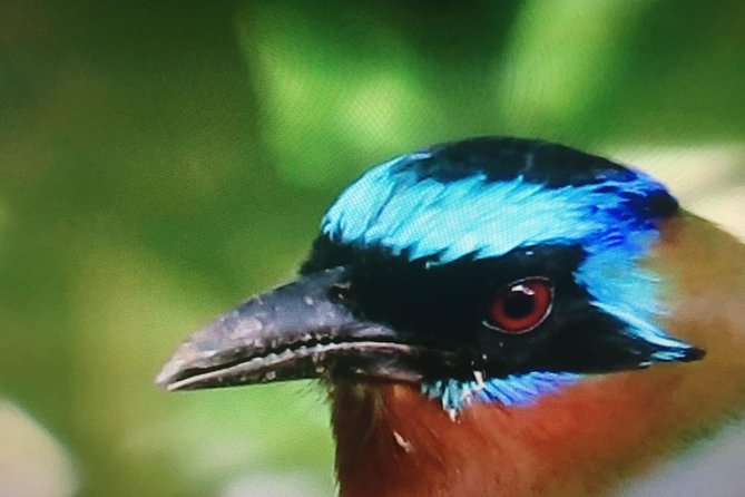 Individual Rainforest Tour - Physical Requirements