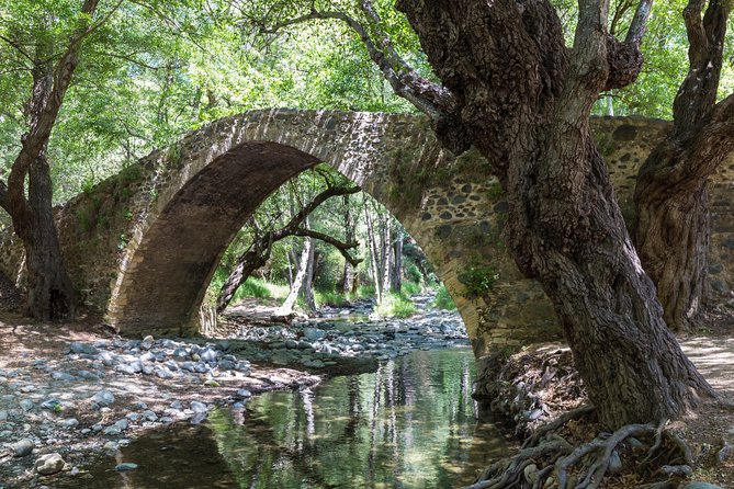 Individual Tours From Paphos - Tour Highlights and Activities