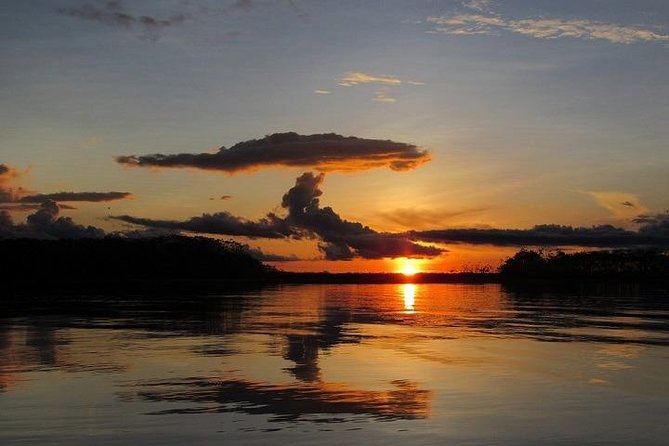 Iquitos: Amazon Adventure: Nature and Wildlife | 3 Days - Immersive River Experiences