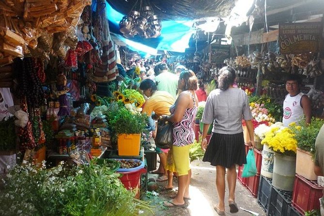 Iquitos City Tour (FULL DAY) - Taking in Jungle Walks