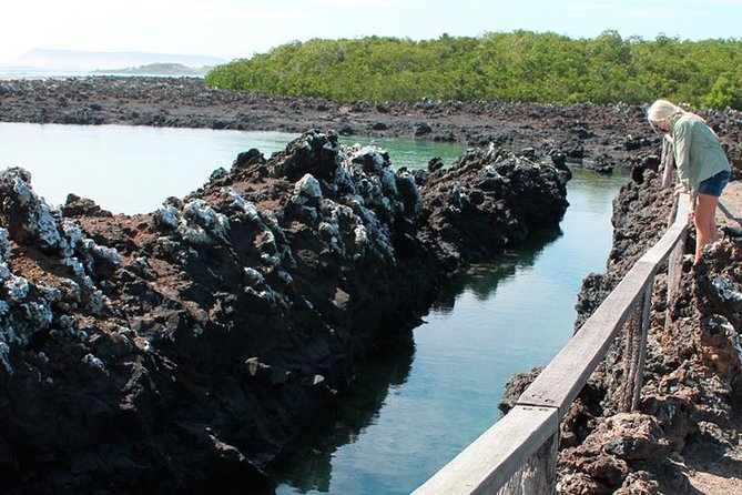 Isabela Island Explorer 2 Days -1 Night - Itinerary and Activities