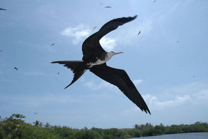 Isla Contoy Eco Adventure - Accessibility and Restrictions