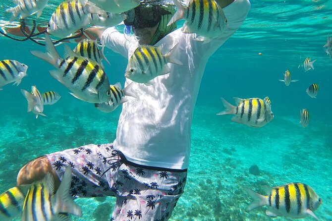 Isla Mujeres Snorkeling Adventure at the Underwater Museum - Snorkeling Conditions