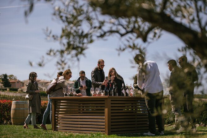 Istria Wine Tour From Rijeka and Opatija - Culinary Delights