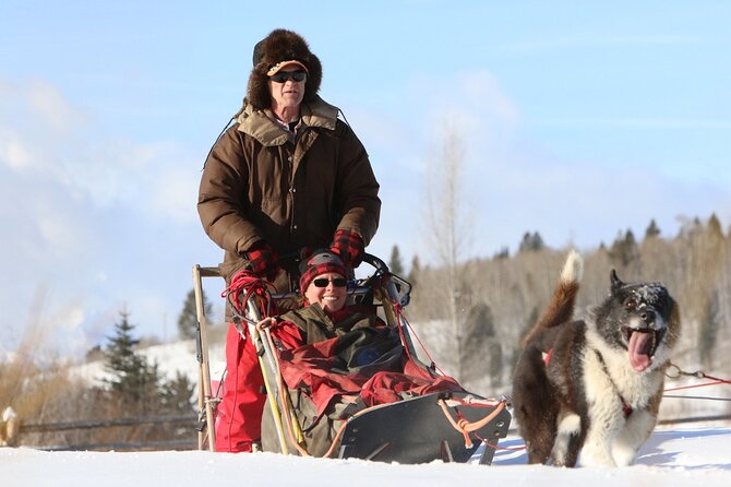 Jackson Hole Full-Day Dog Sledding and Snowmobiling Combo Trip - Gear and Transportation