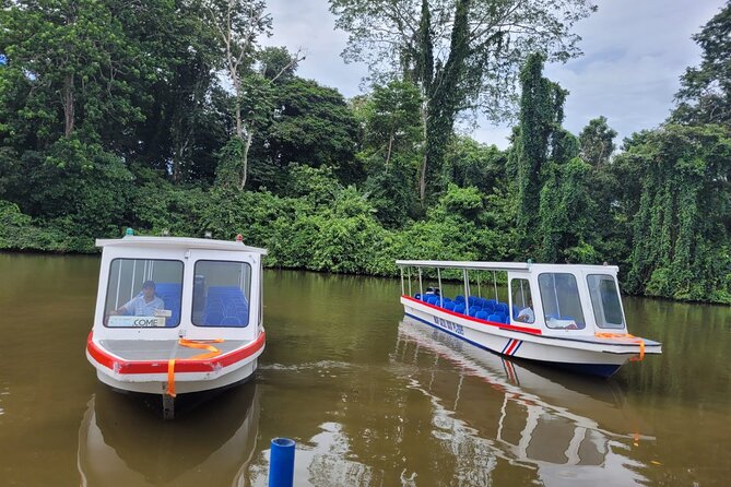 Jaguar Rescue Center & Tortuguero Canal - Boat Tour Through Tortuguero Canal