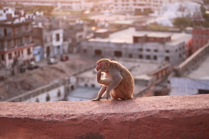 Jaipur Full Day - Inclusions of the Tour