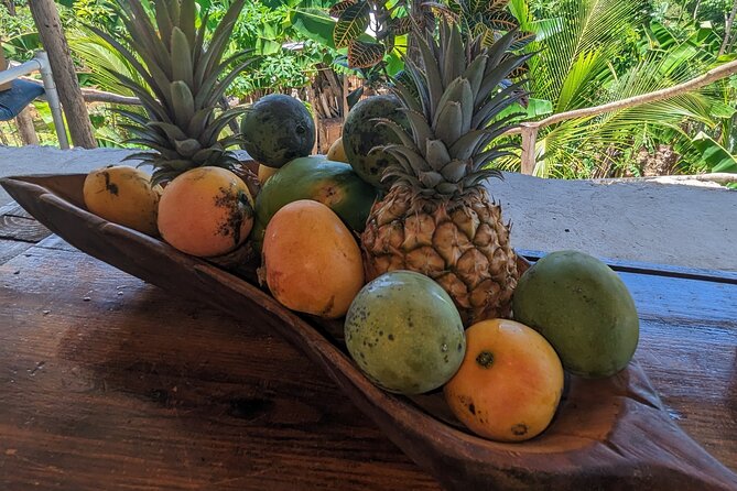 Jamaican Roots Tropical Farm Tour - Explore & Chill (2 Hr) - Accessibility