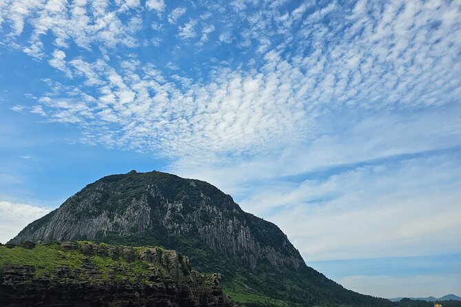 Jeju Private Tour Package-South of Jeju(Mt.Hallasan & Waterfalls) - Lunch Choices