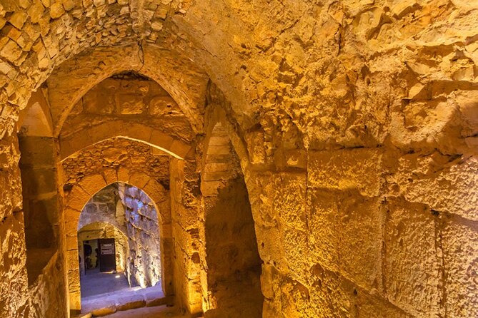 Journey Through History: Ajloun, Jerash, and Amman City Tour - Highlights of the Tour