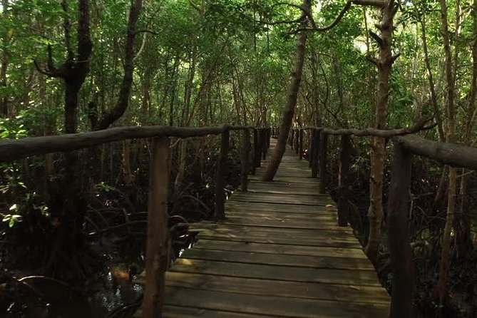 Jozani Forest Tour - Tour Inclusions and Pricing