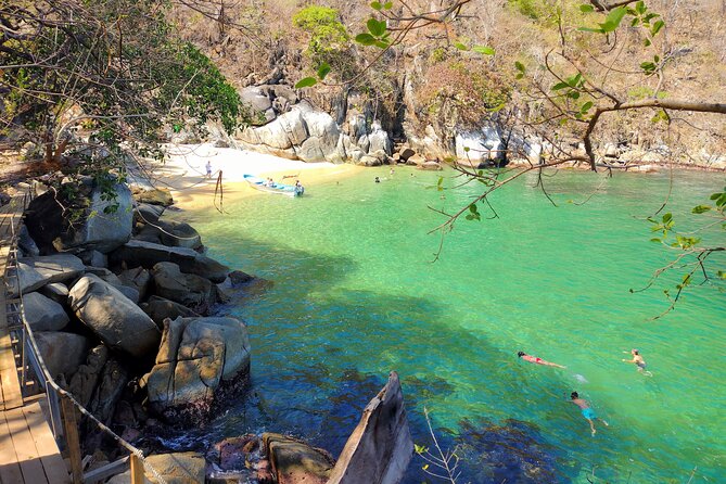 Jungle and Exotic Beaches, Hiking in Puerto Vallarta - Tour Experience and Highlights