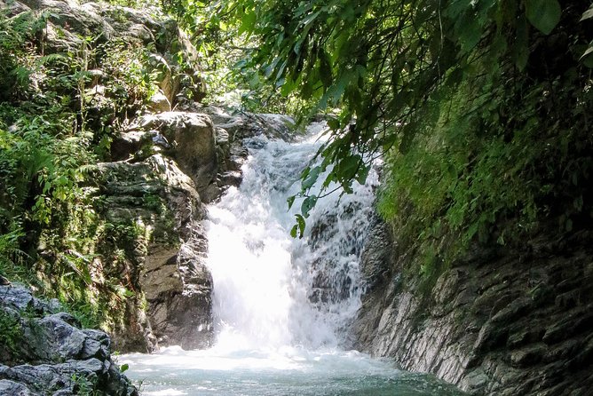 Jungle Side by Side Adventure - Tour Highlights