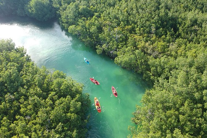 Kayak Adventure Through Laguna Nichupté in Cancun - Inclusions