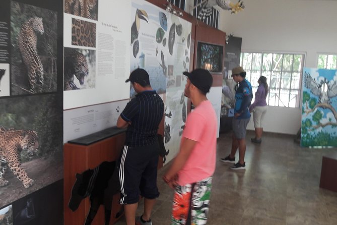 Kayak and Embera Village in Chagres Park - Experiencing Panamanian Cuisine