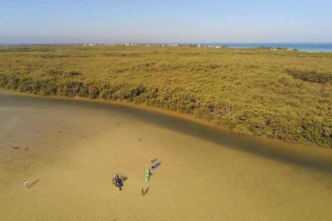 Kayak Experience in the Mangroves of Holbox Island - Included Equipment and Amenities