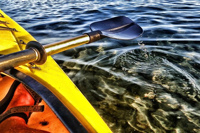 Kayak Rental Adventure in Watersports Santorini - Rental Inclusions and Fees