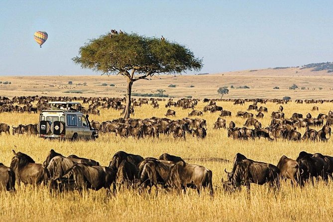 Keekorok Lodge 3 Days, 2 Nights Maasai Mara Offer - Explore Maasai Mara
