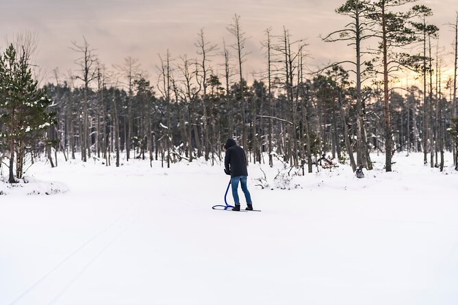 Kicksledding on Snowy Forest Roads and Frozen Lakes in Riga - Meeting and Pickup