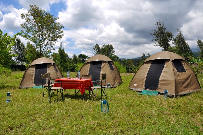 Kilimanjaro Climbing Umbwe Route - Inclusions and What to Expect