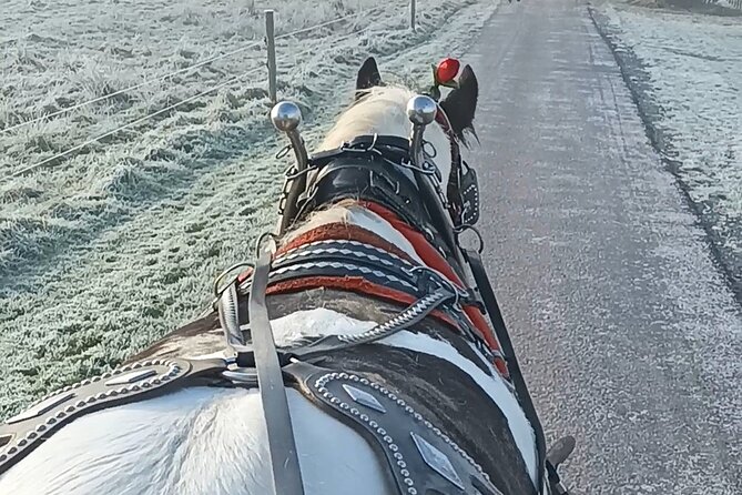 Killarney Jaunting Car Tour - Meeting Point and Pickup