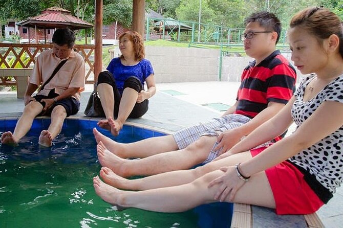Kinabalu Park Tour With Desa Dairy Farm & Poring Hot Springs - Relaxing at Poring Hot Springs