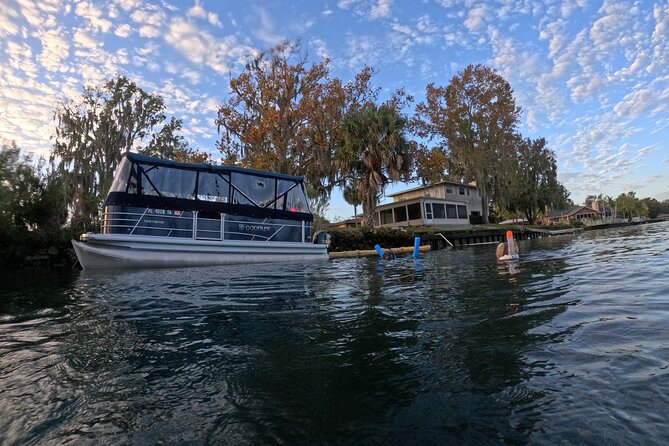 Kings Bay Manatee Watching Cruise - Seasonal Variations and Wildlife Sightings