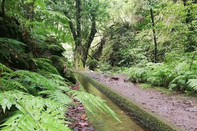 Kings Levada - São Jorge - Accessibility and Additional Info