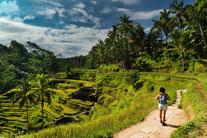 Kintamani Private Tour:Tegalalang Rice Terraces, Goa Gajah Temple - Inclusions and Exclusions