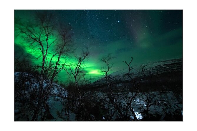 Kiruna -Abisko Aurora Tour With Local Guide - Guides Expertise and Aurora Sighting Support