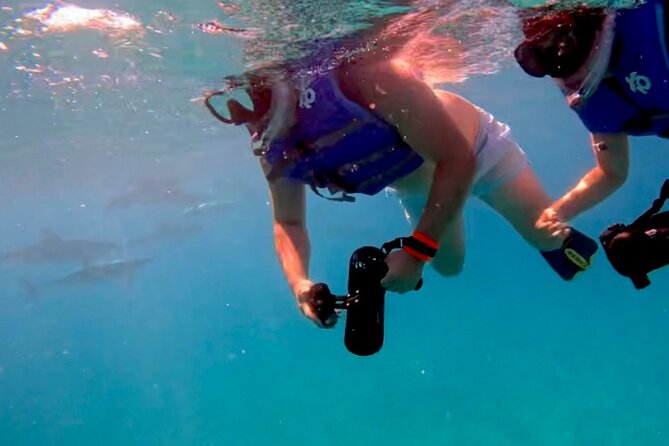 Ko Olina Sea Turtle Snorkeling Tour With Jet Scooters - Choosing the Right Tour