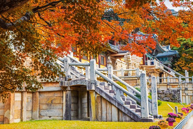 Korail Day Trip to Gyeongjus Unesco World Heritage Sites From Seoul - Private Tour Highlights