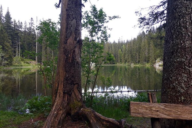 Kotor to Durmitor - Black Lake & Djurdjevica Tara Bridge Tour - Captivating Black Lake